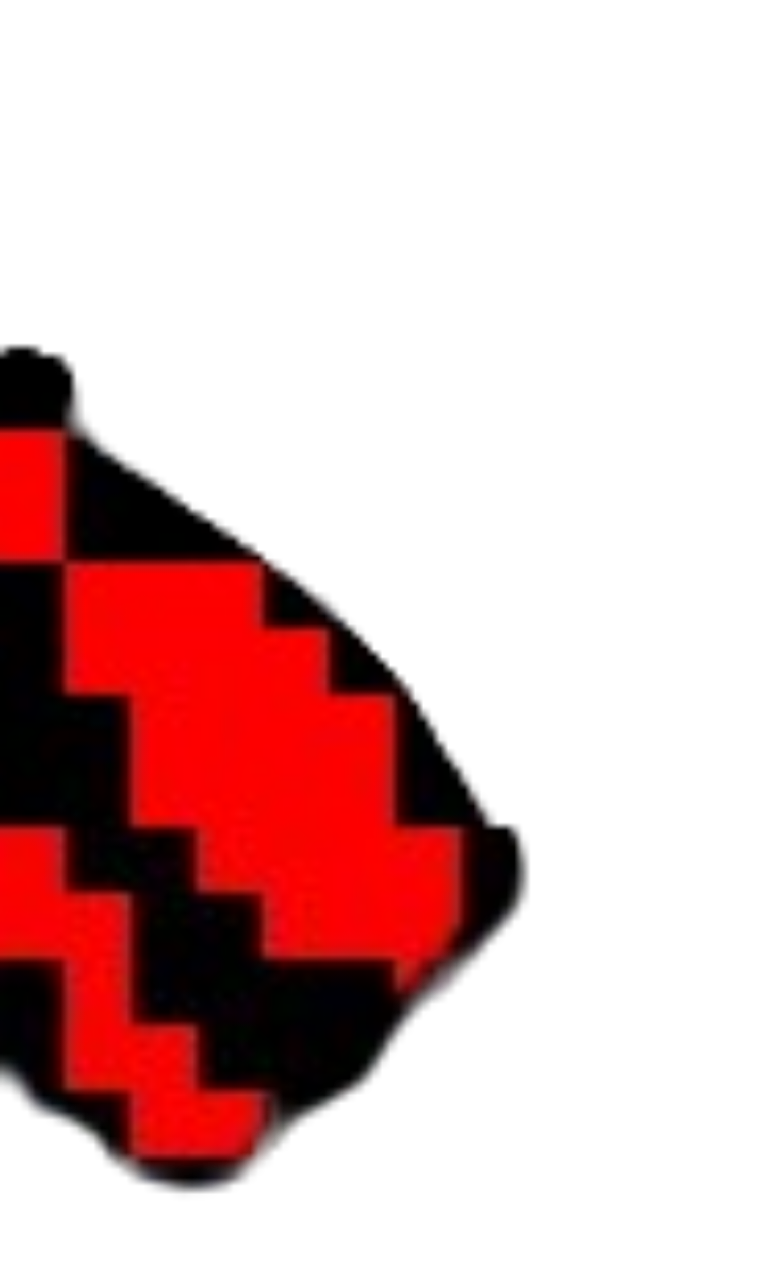 Flamengo Pre-game 2025